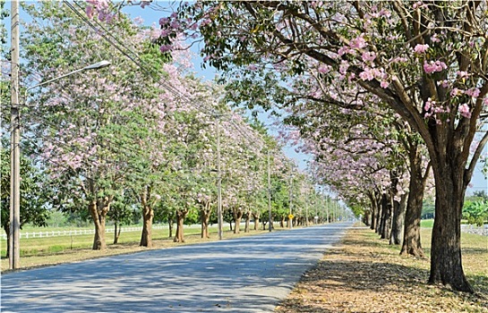 xsmb thu 2 minh ngoc