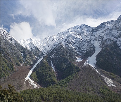 cau lo bach thu