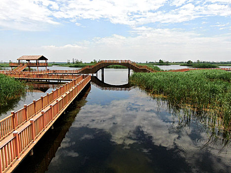 bachthu lode mienbac