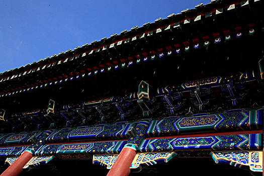 soi bạch thủ lô miền bắc
