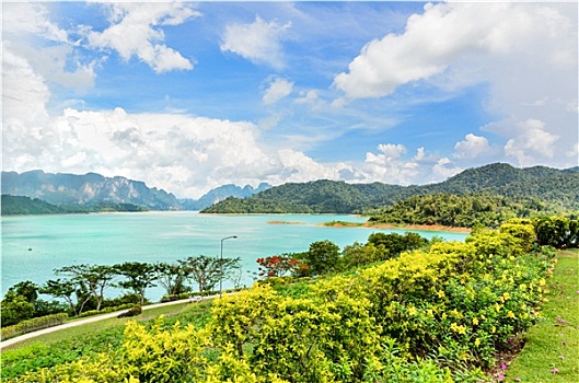 bạch thủ lô tô