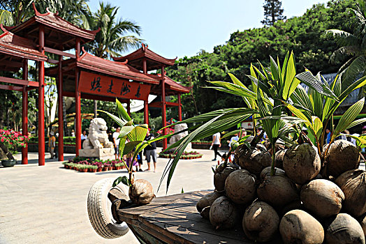 xổ số bình định
