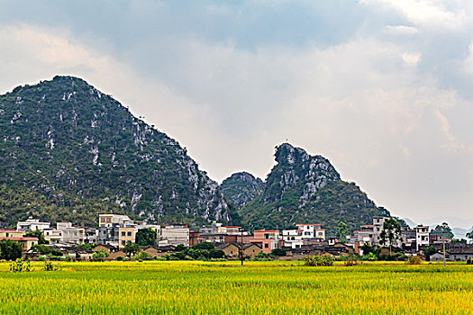 soi cau mn minh ngoc