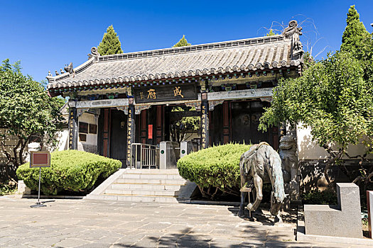 soicau888 rongbachkim