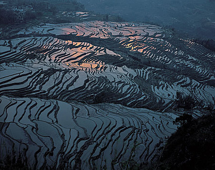 dàn đề ăn 3 ngày tới