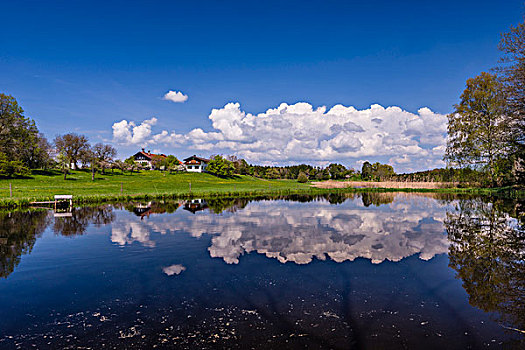 soi lo bạch thủ