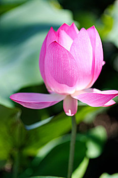 du doan xsmn minh ngoc