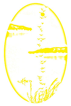 xo số miền nam