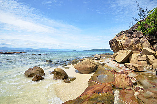 rong vang bach kim