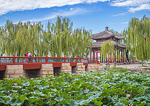 soi cầu lô đề chuẩn