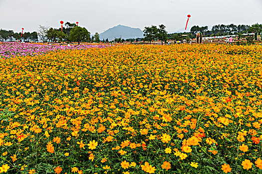 du doan kqxs binh dinh