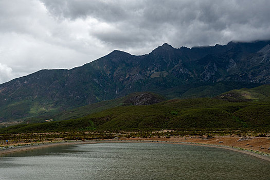 rong bach kim 2 nhay