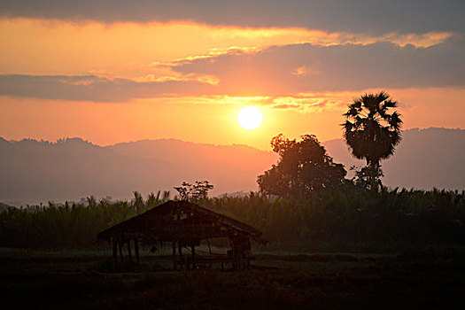 lo khung rong bach kim