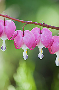 cách chơi lô đề có lãi