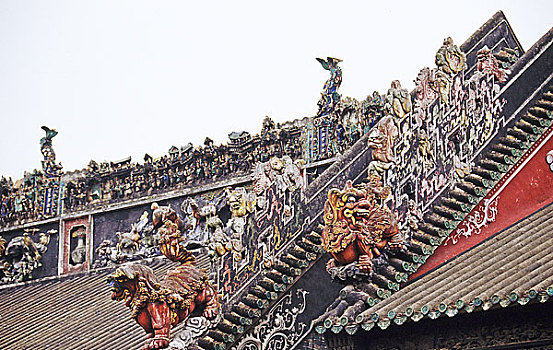 cau bach thu ngay mai