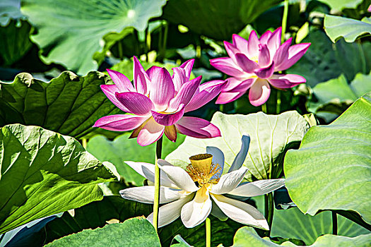 xsmn thu tu