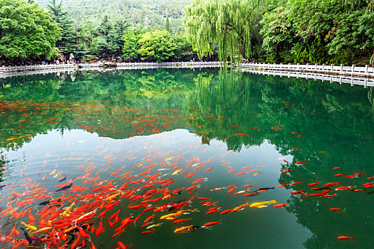 binh luan lo de mien bac