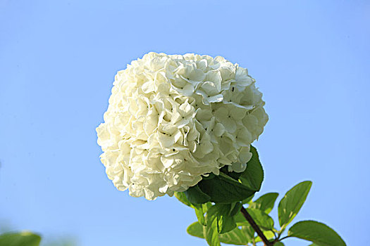 xổ số thái bình