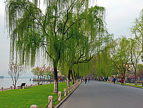 chốt dàn đặc biệt