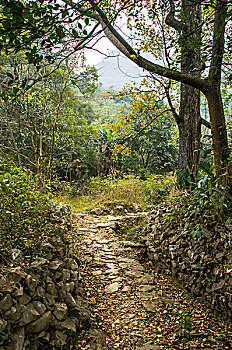 lô rơi