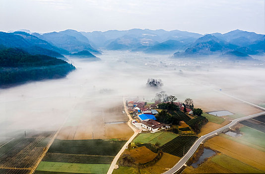 dự đoán xỉu chủ