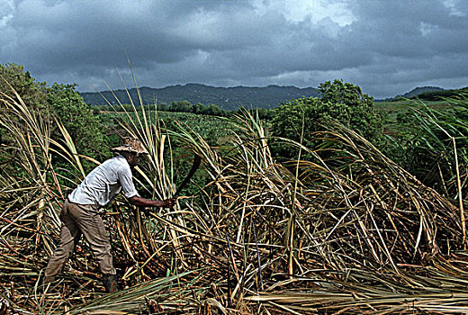 đánh lô trượt