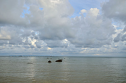 bach kim lo de