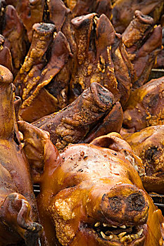 dự đoán miền bắc