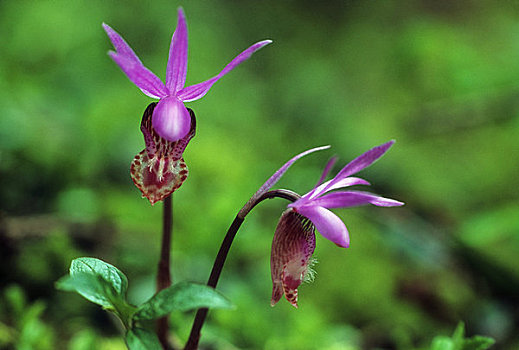xổ số hôm nay ba đài