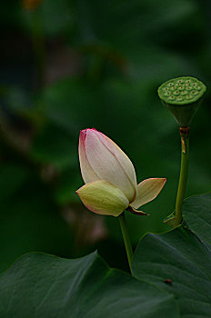 xo so mien nam thu 4 hang tuan