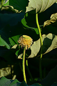 cầu lô đề hôm nay