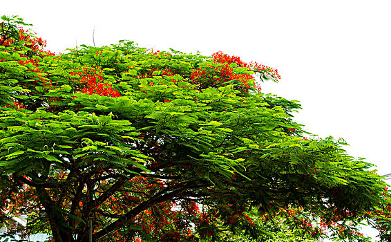 cách chơi lô đề
