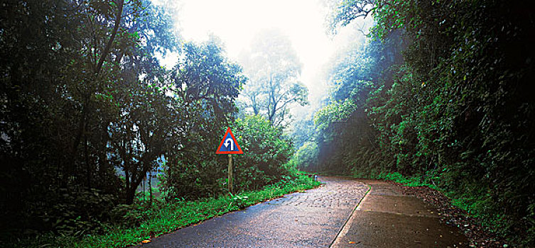 xstd soi cầu