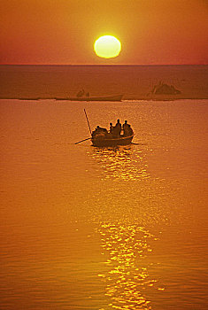 soi đề bạch thủ