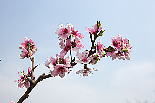 cách chơi đầu đuôi miền bắc