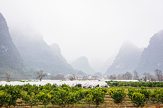xổ số mien bac