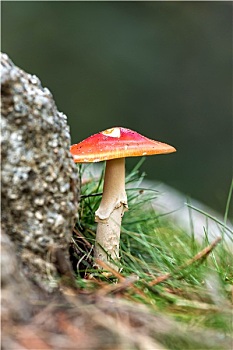 xskt kiên giang