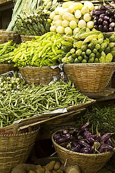 tra cứu kết quả xổ số
