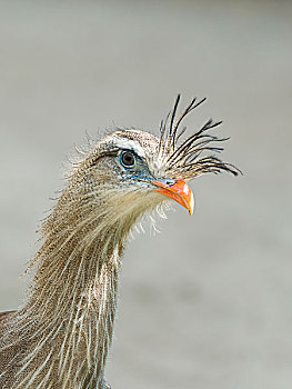 xổ số la