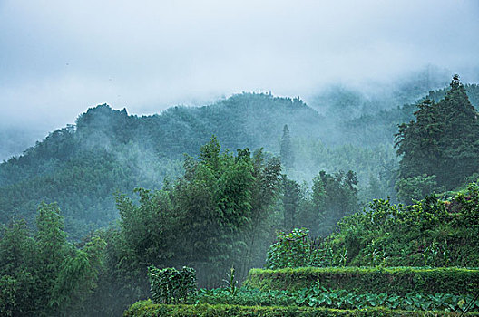 du doan xo so bac trung nam