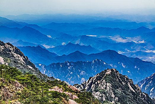 soi cau binh dinh wap