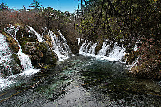 cầu bạch thủ