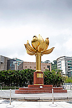 soi cau 96
