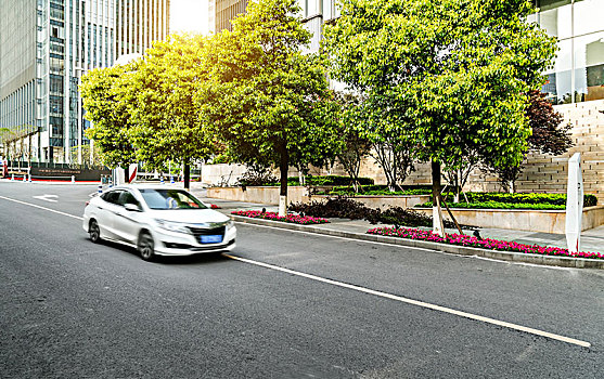 soi cau 8746