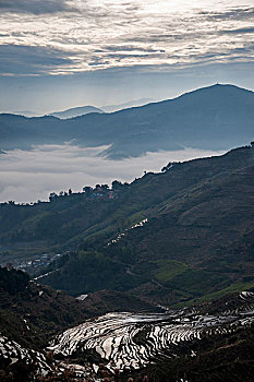 soi cau bach thu lo mb