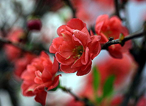lô đề hôm nay