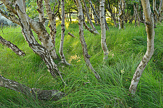 du doan xs binh dinh