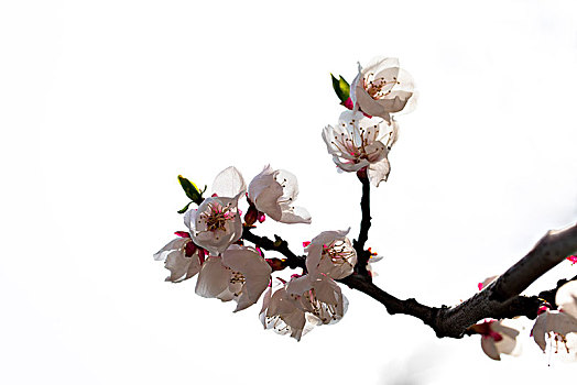 kết qua xo so miễn bac