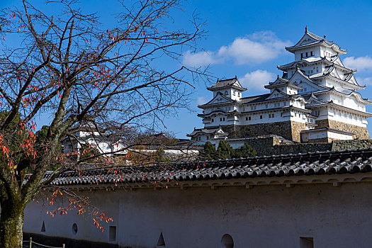 sổ kq