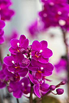 kqxs hom nay minh ngoc